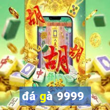 đá gà 9999