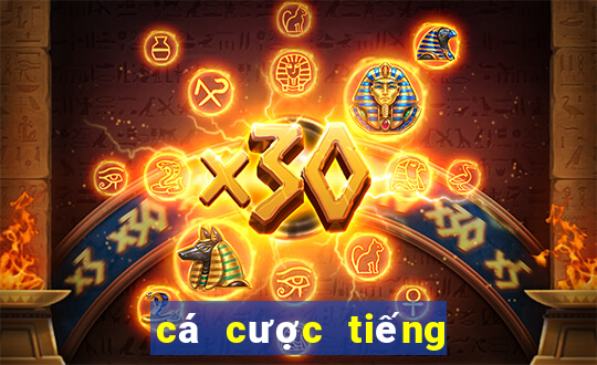 cá cược tiếng trung là gì