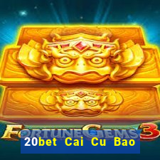 20bet Cai Cu Bao Dien 5577