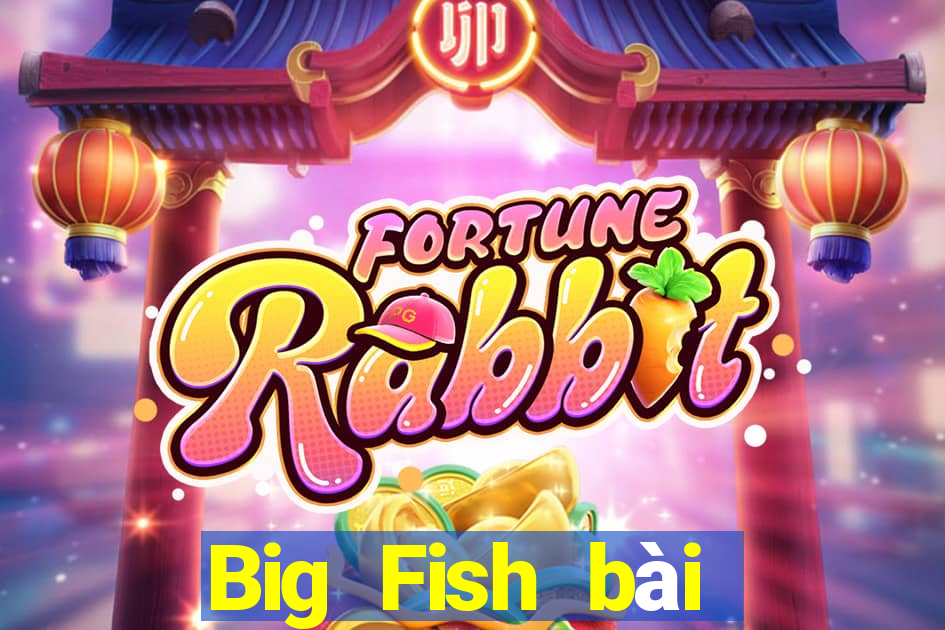 Big Fish bài poker trang web