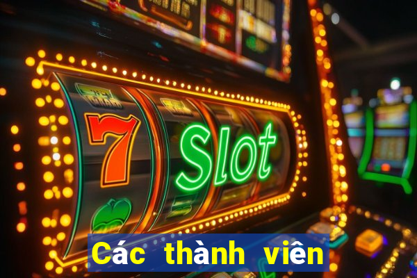 Các thành viên của ACairace