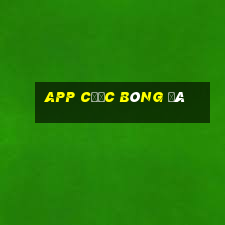 app cược bóng đá