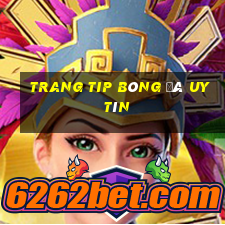 trang tip bóng đá uy tín