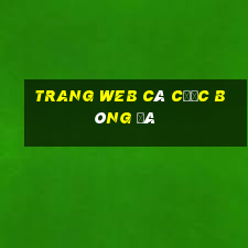 Trang web cá cược bóng đá