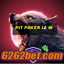 nit poker là gì