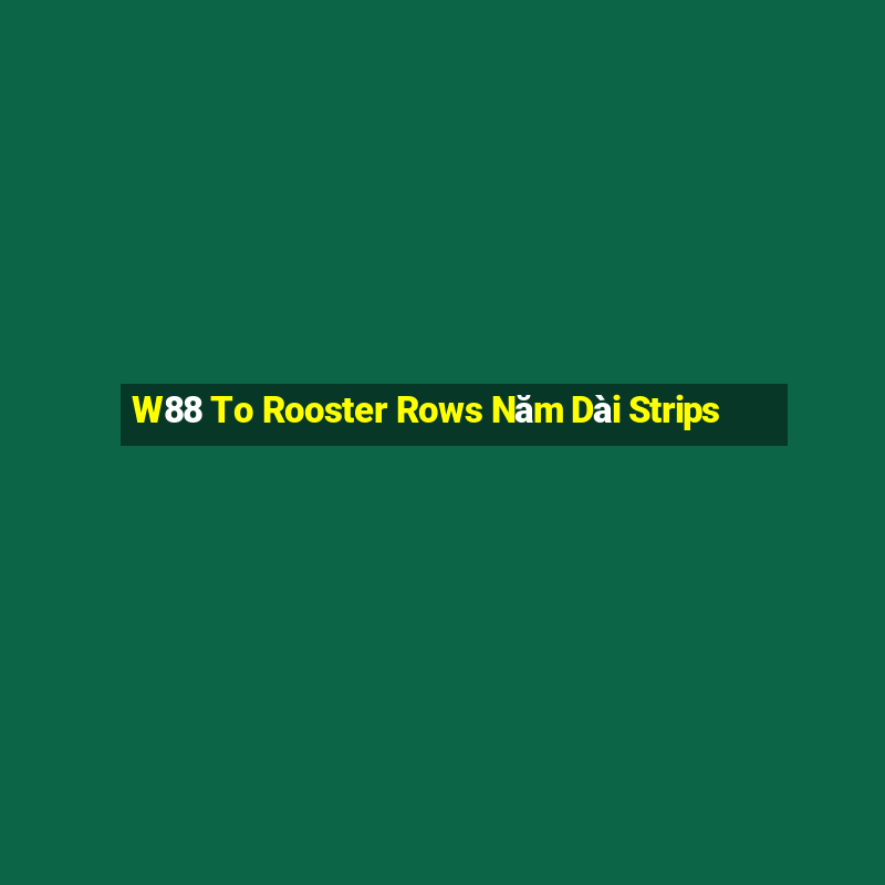 W88 To Rooster Rows Năm Dài Strips