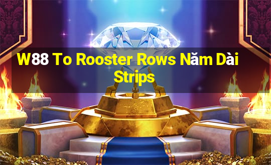 W88 To Rooster Rows Năm Dài Strips