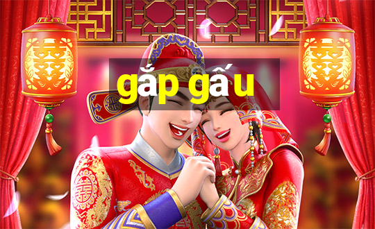 gắp gấu