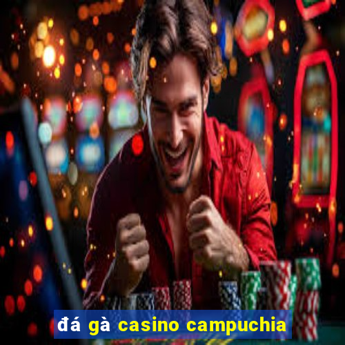 đá gà casino campuchia