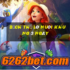 bạch thủ lô nuôi khung 3 ngày