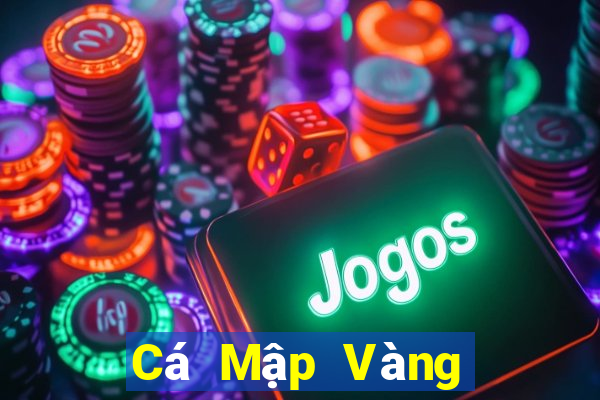 Cá Mập Vàng Cá Mập Bạc Fun88 Tải về