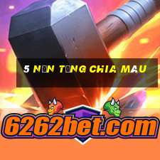 5 nền tảng chia màu