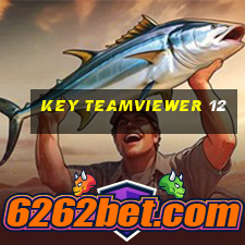 key teamviewer 12