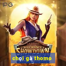 chọi gà thomo