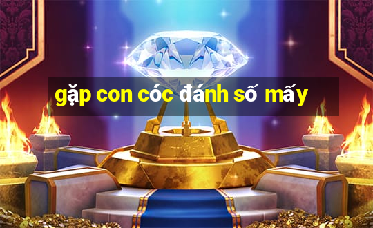 gặp con cóc đánh số mấy