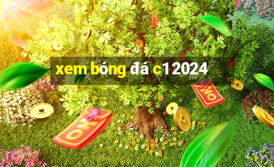 xem bóng đá c1 2024