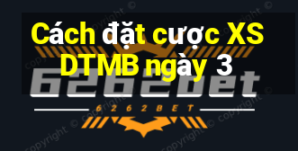 Cách đặt cược XSDTMB ngày 3