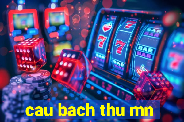 cau bach thu mn