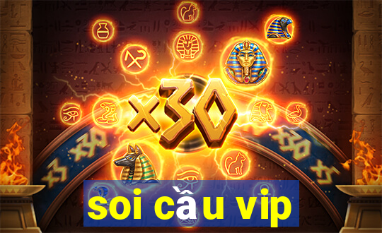 soi cau vip