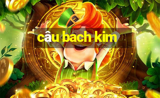 cau bach kim