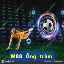 W88 Ông trùm giải trí giải trí