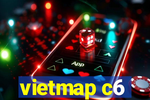 vietmap c6