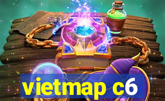 vietmap c6