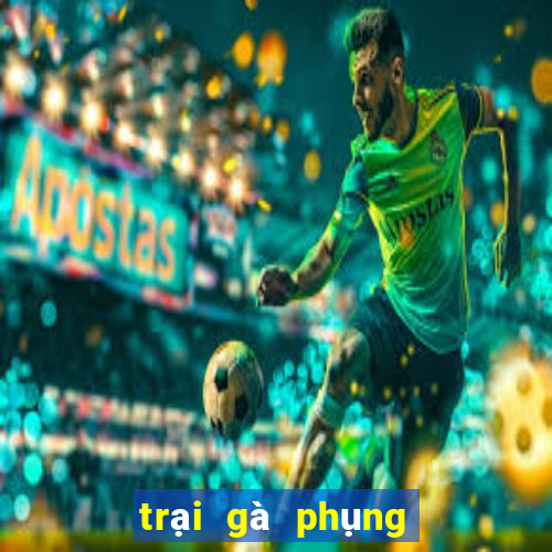 trại gà phụng hoàng kê 2024