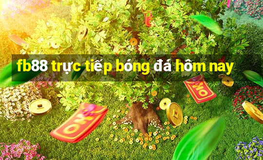 fb88 trực tiếp bóng đá hôm nay