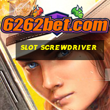 slot screwdriver