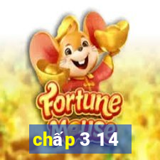 chấp 3 1 4