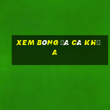 xem bóng đá cà khịa