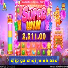 clip ga choi mien bac