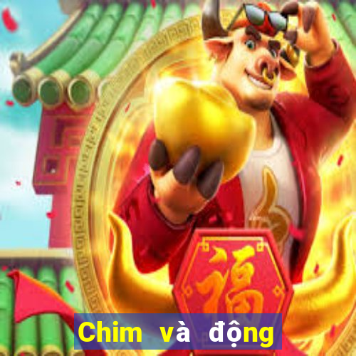 Chim và động vật iosapp