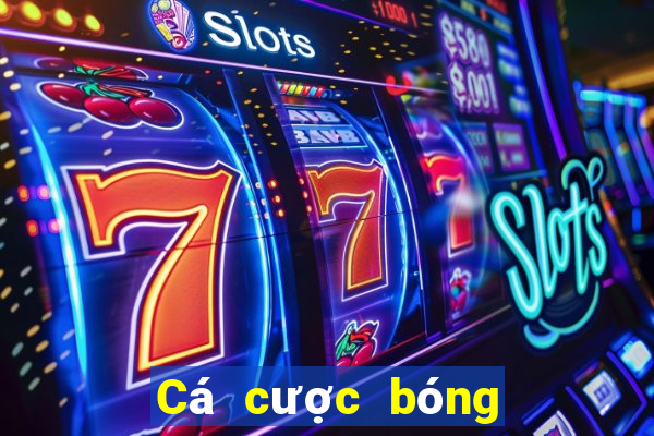 Cá cược bóng đá hỗn hợp