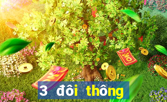 3 đôi thông chặt heo