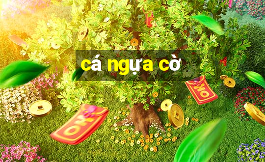 cá ngựa cờ