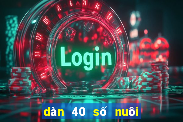 dàn 40 số nuôi trong ngày