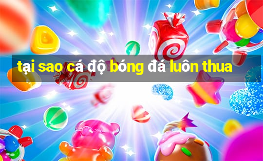 tại sao cá độ bóng đá luôn thua