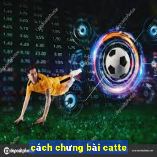 cách chưng bài catte