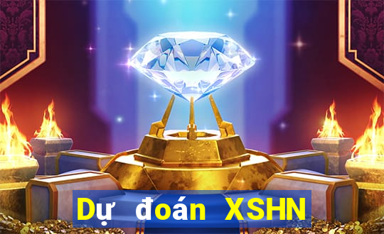 Dự đoán XSHN ngày 11