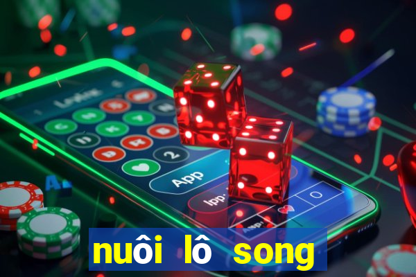 nuôi lô song thủ khung 3 ngày