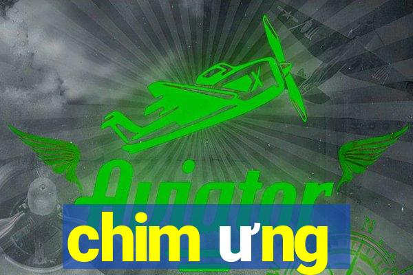 chim ưng