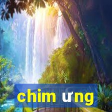 chim ưng