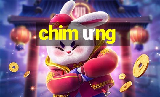 chim ưng