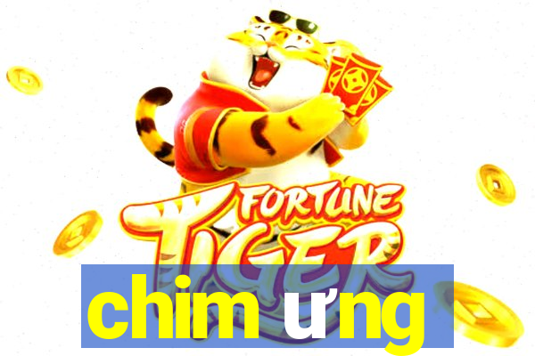 chim ưng