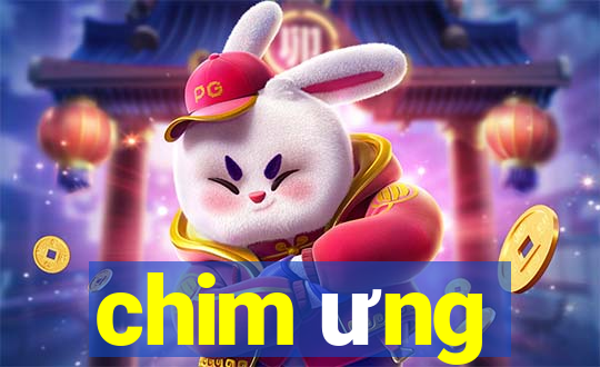 chim ưng