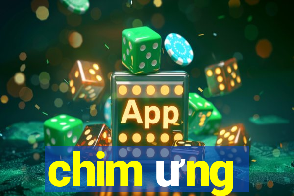 chim ưng