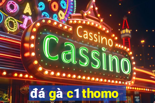 đá gà c1 thomo