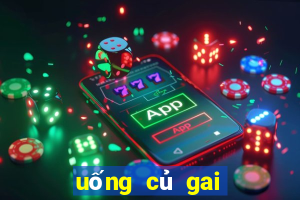 uống củ gai có tác dụng gì